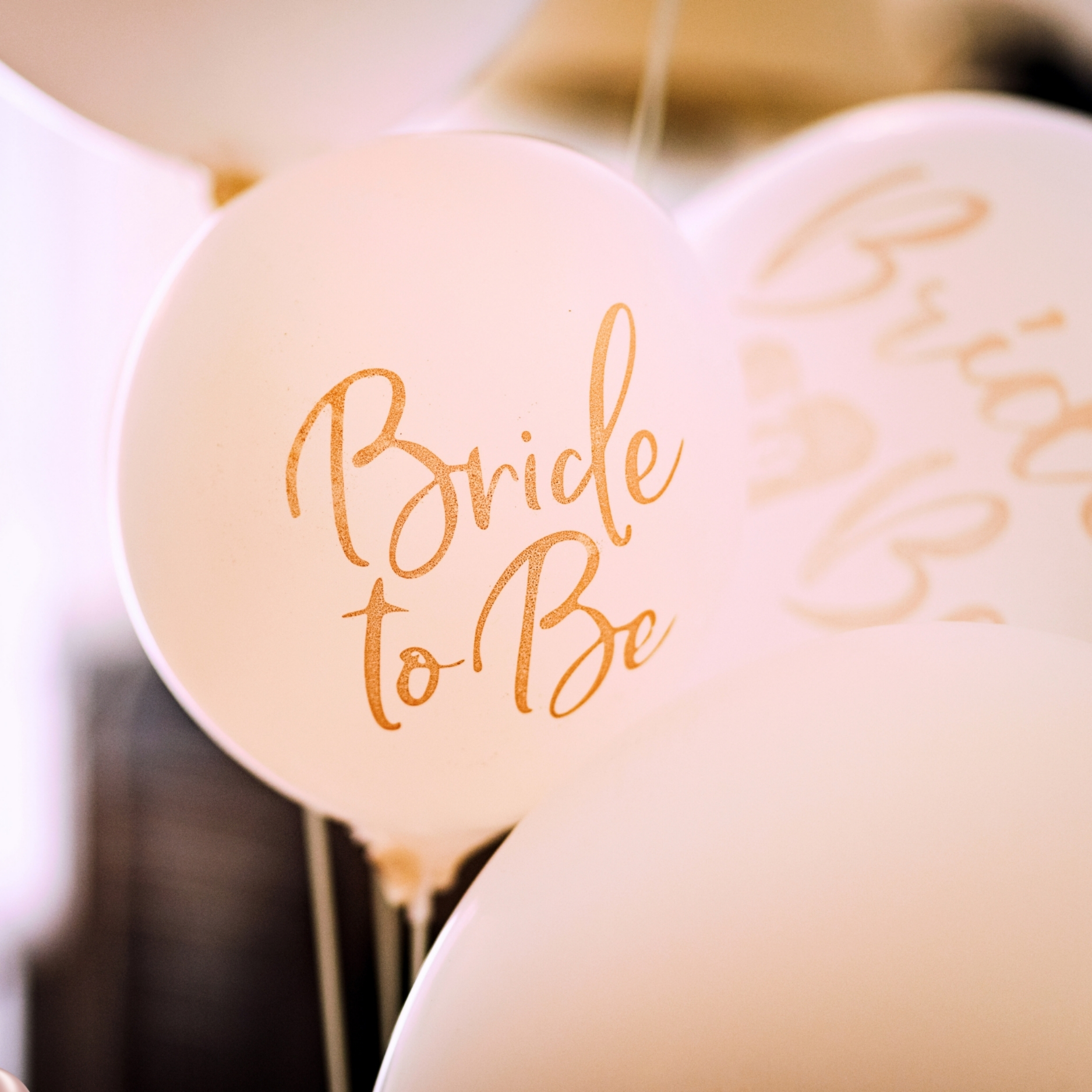 Adana Bride Parti Süsleri