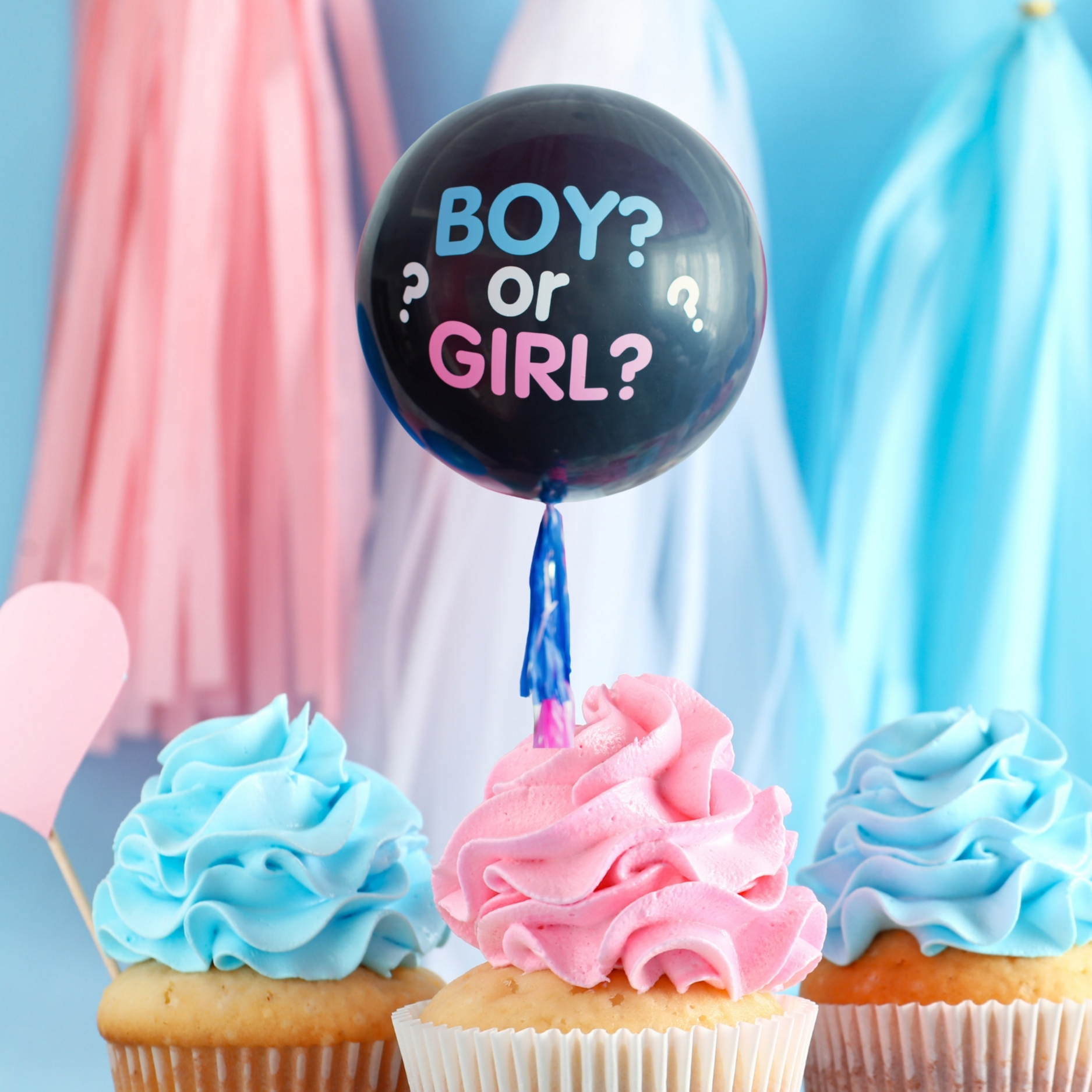 Adana Cinsiyet Parti Malzemeleri